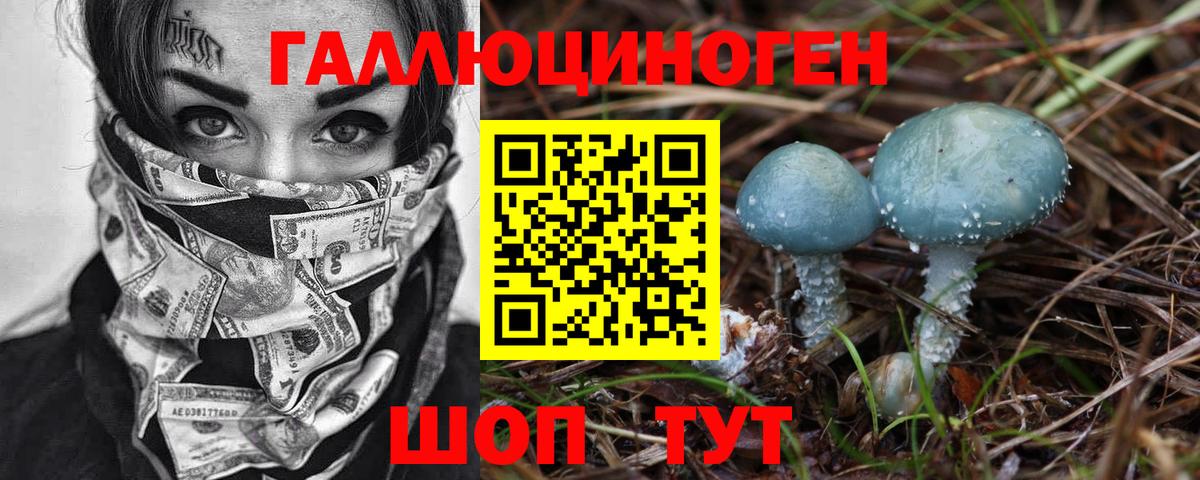 Галлюциногенные грибы Psilocybe Добрянка